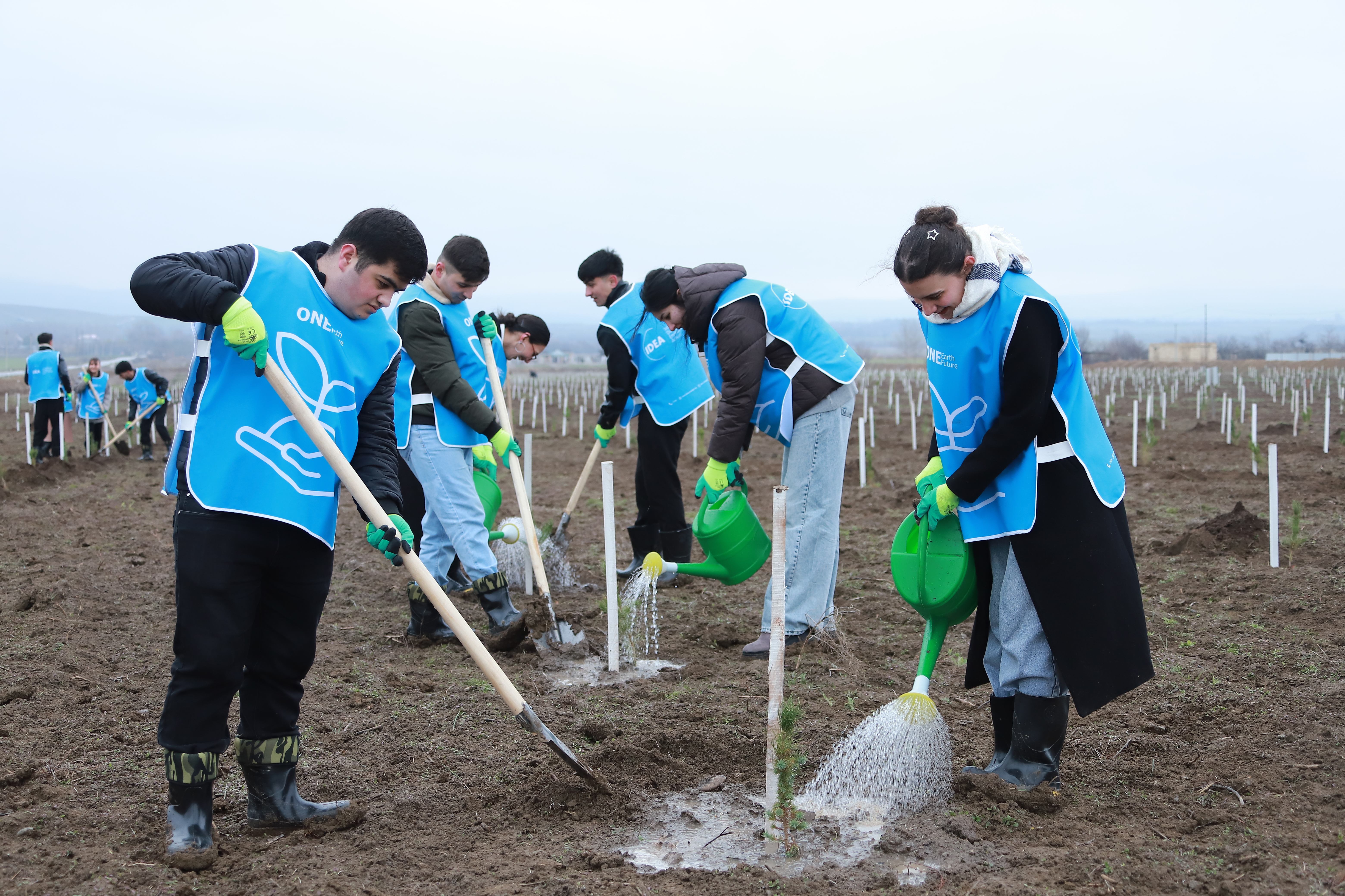 IDEA Şəki və Qəbələdə kütləvi ağacəkmə aksiyası təşkil etdi (FOTO)
